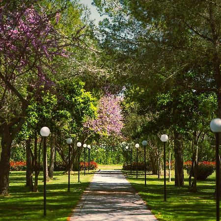 Green Park Divjake Eksteriør bilde