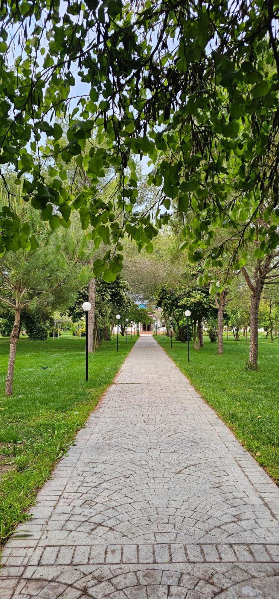 Green Park Divjake Eksteriør bilde